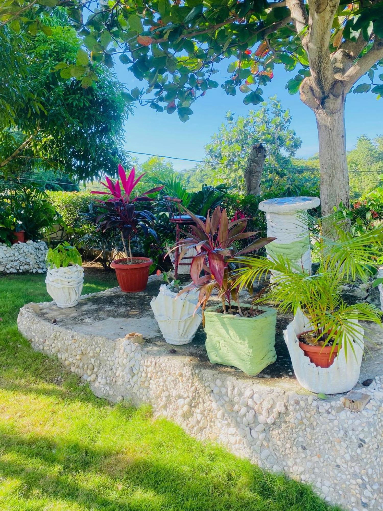 Cindy'S Garden Stay 奥乔里奥斯 外观 照片